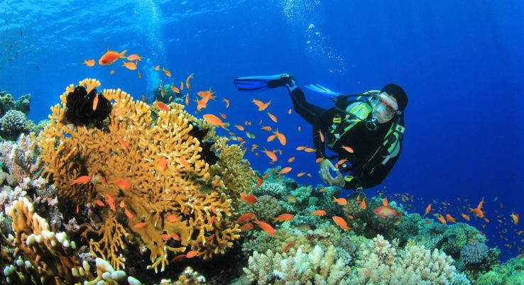 ANDAMAN ISLAND TRIP BOOKING (1)