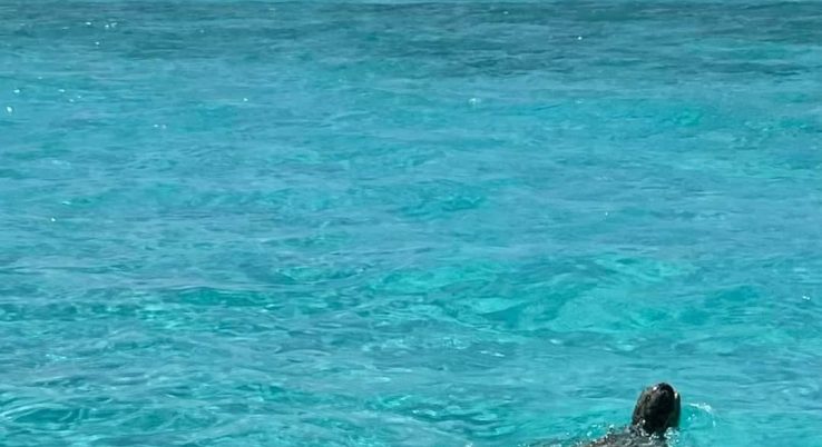 Lakshadweep tour package (3)