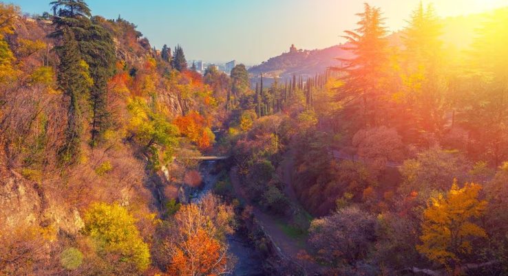georgia tourist package online (6)