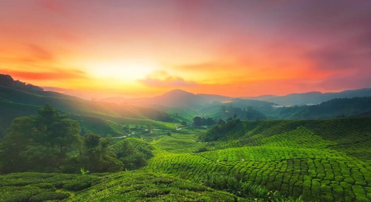 kerala tourist destination package