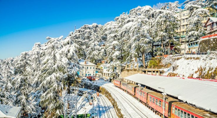 shimla manali tour package (1)