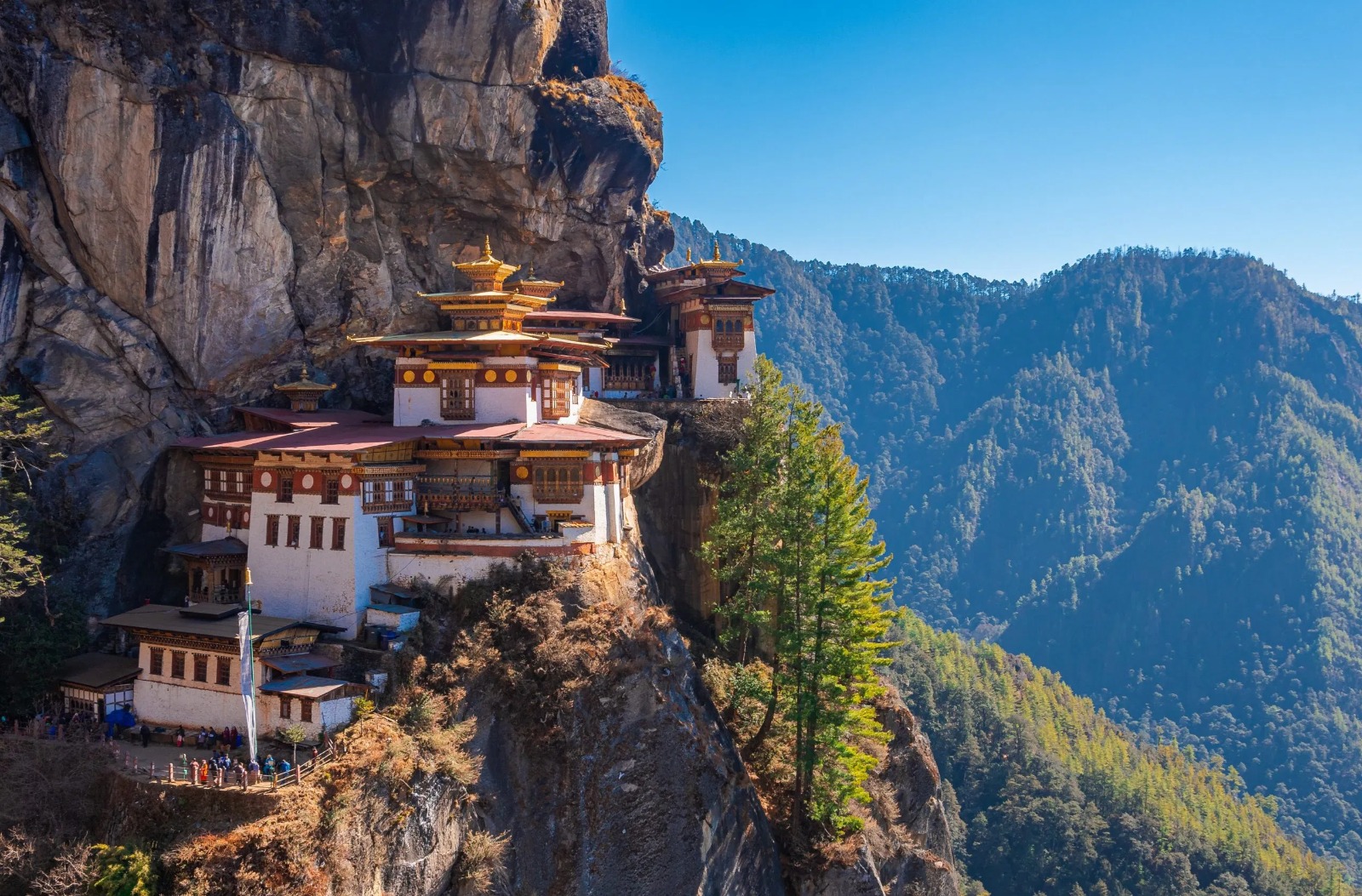 sikkim tour packages